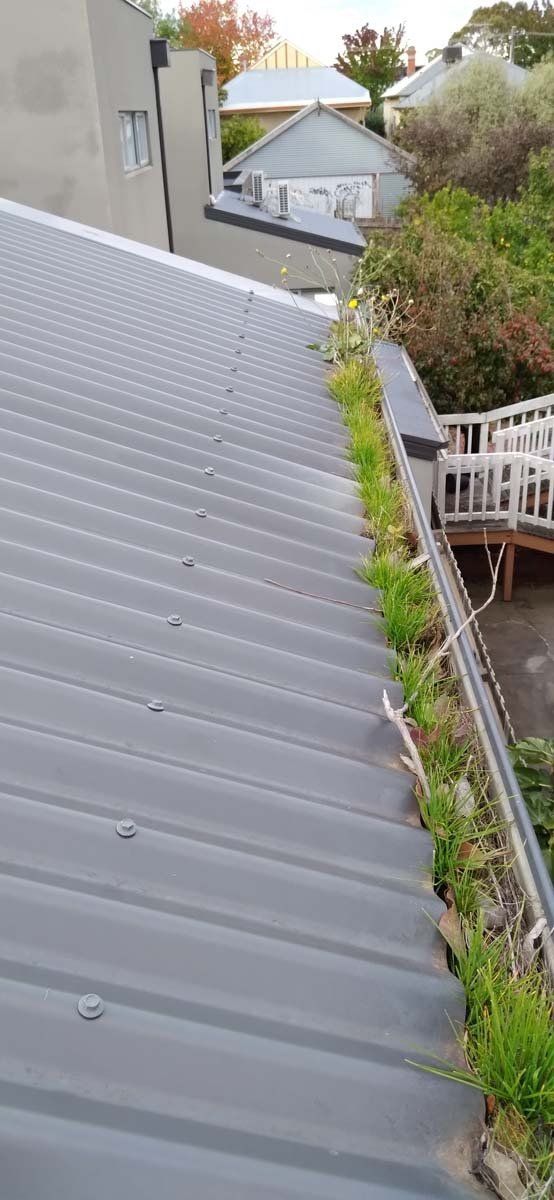 Gutter cleaning 10