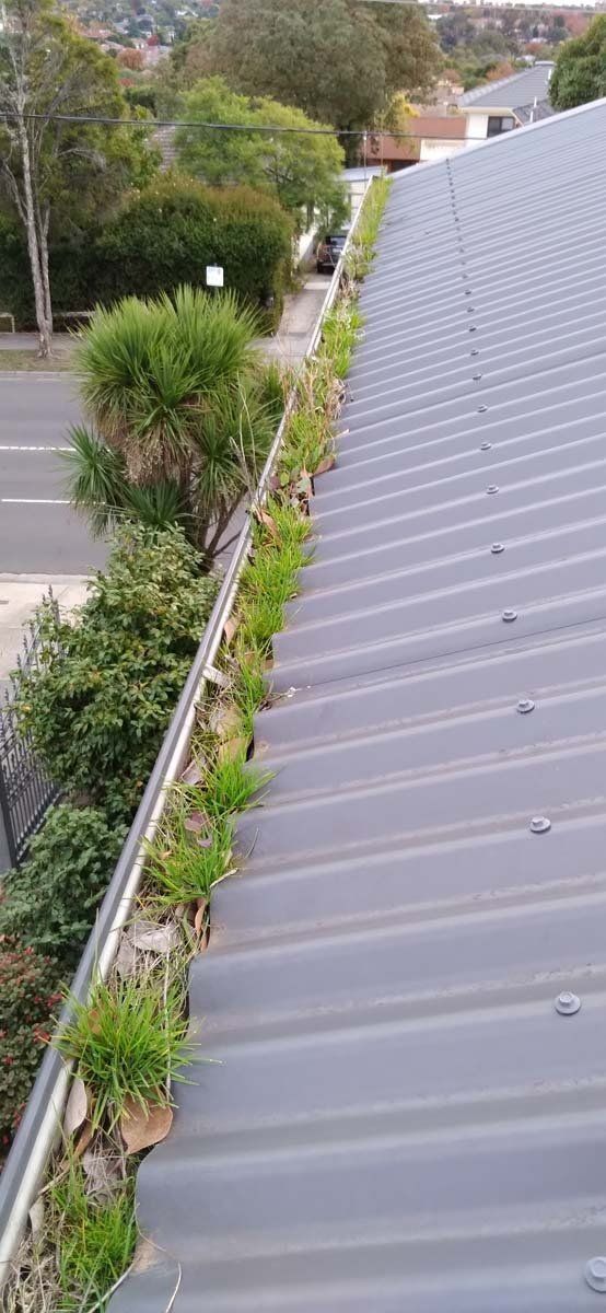 Gutter cleaning 07