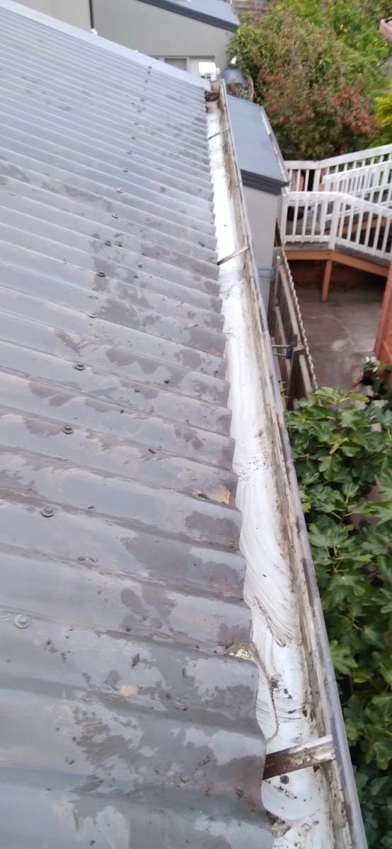 Gutter cleaning 08