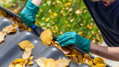 Gutter Cleaning