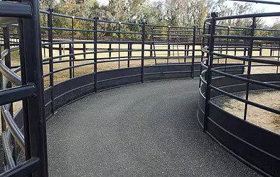 Chain Link Fencing — St Ocala, FL — D & D Asphalt Paving & Repair