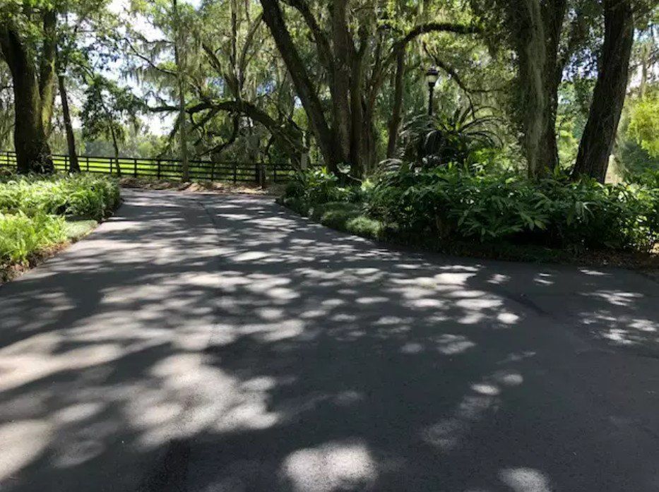 Forest — St Ocala, FL — D & D Asphalt Paving & Repair