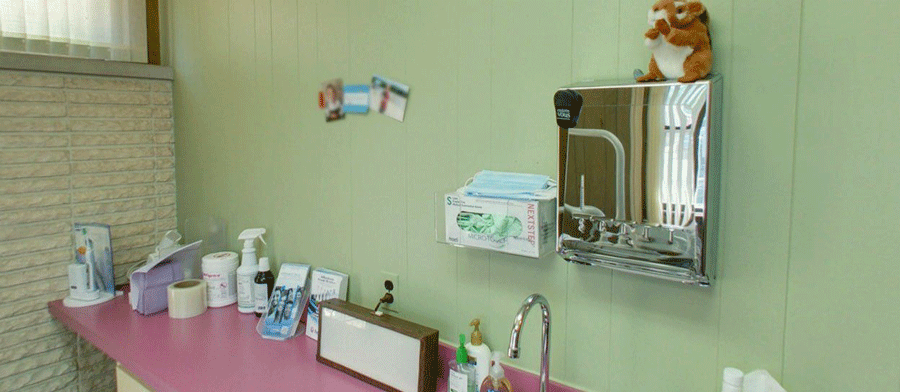 Sink In Clinic — Plymouth, MI — Leslie M Woodell DDS