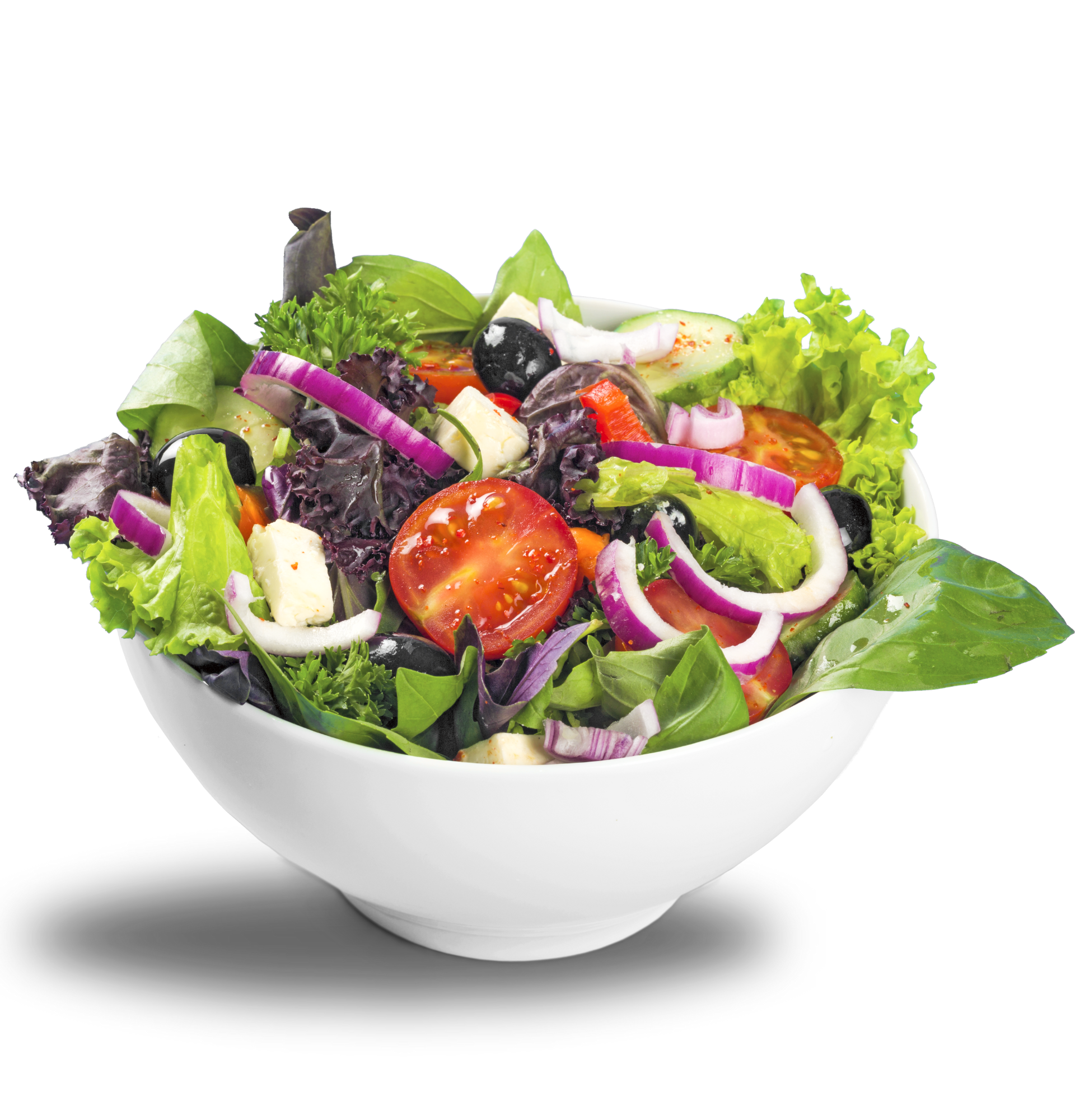 Salad restaurant  | Wesley Chapel, FL | Shake-A-Salad