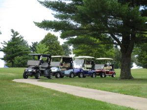 A row of golf carts are parked on a golf course