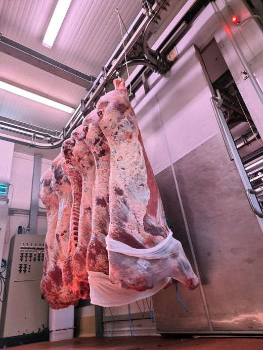regioni italiane in cui è presente la ditta