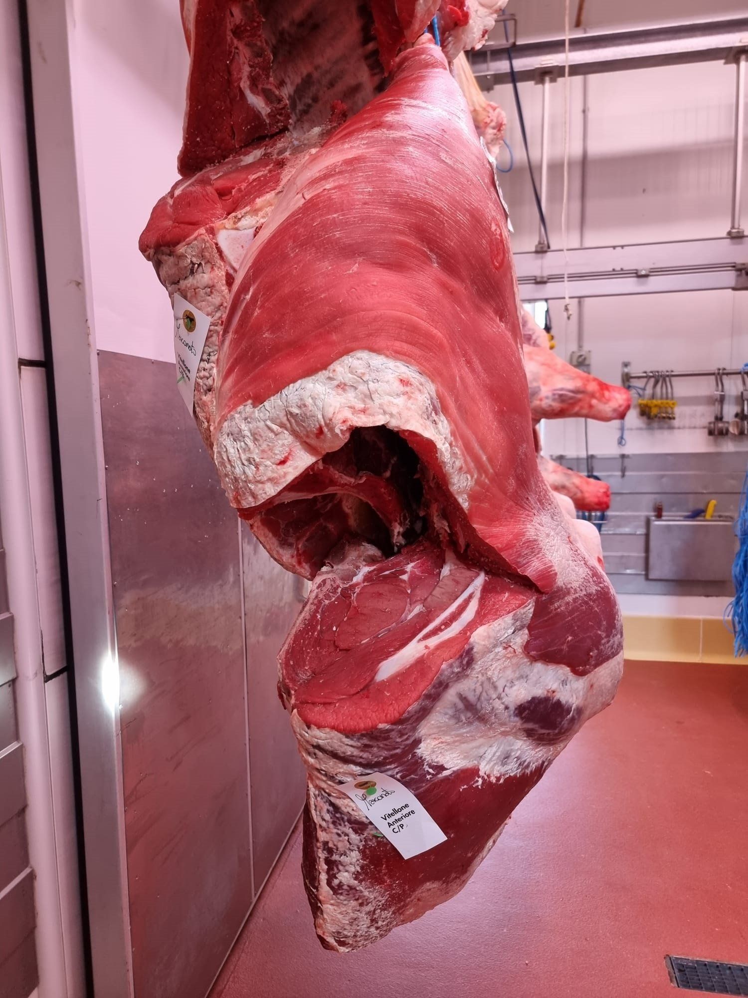 interni cella frigorifera con carni Halal