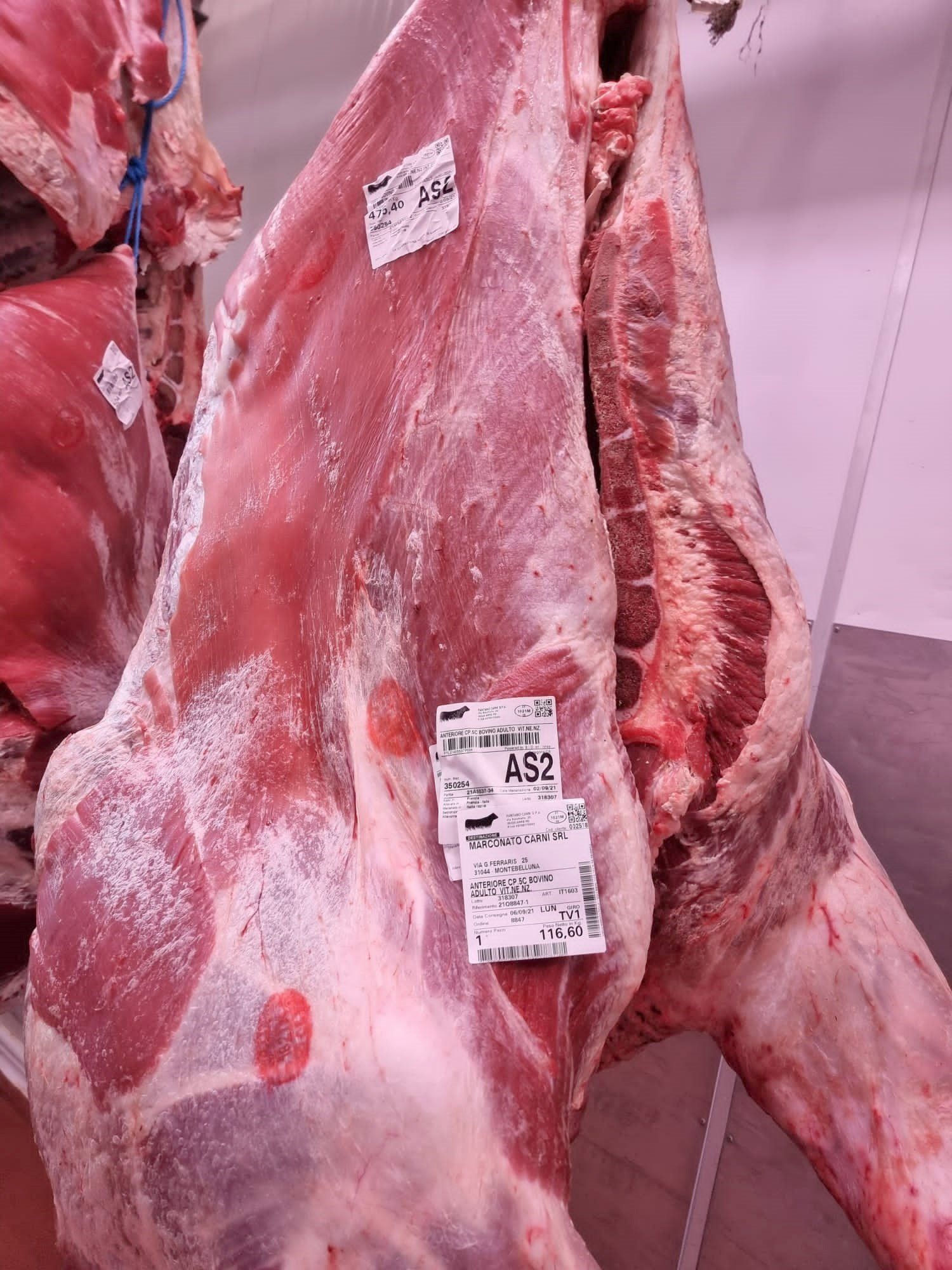 cella frigorifera con carne venduta all'ingrosso