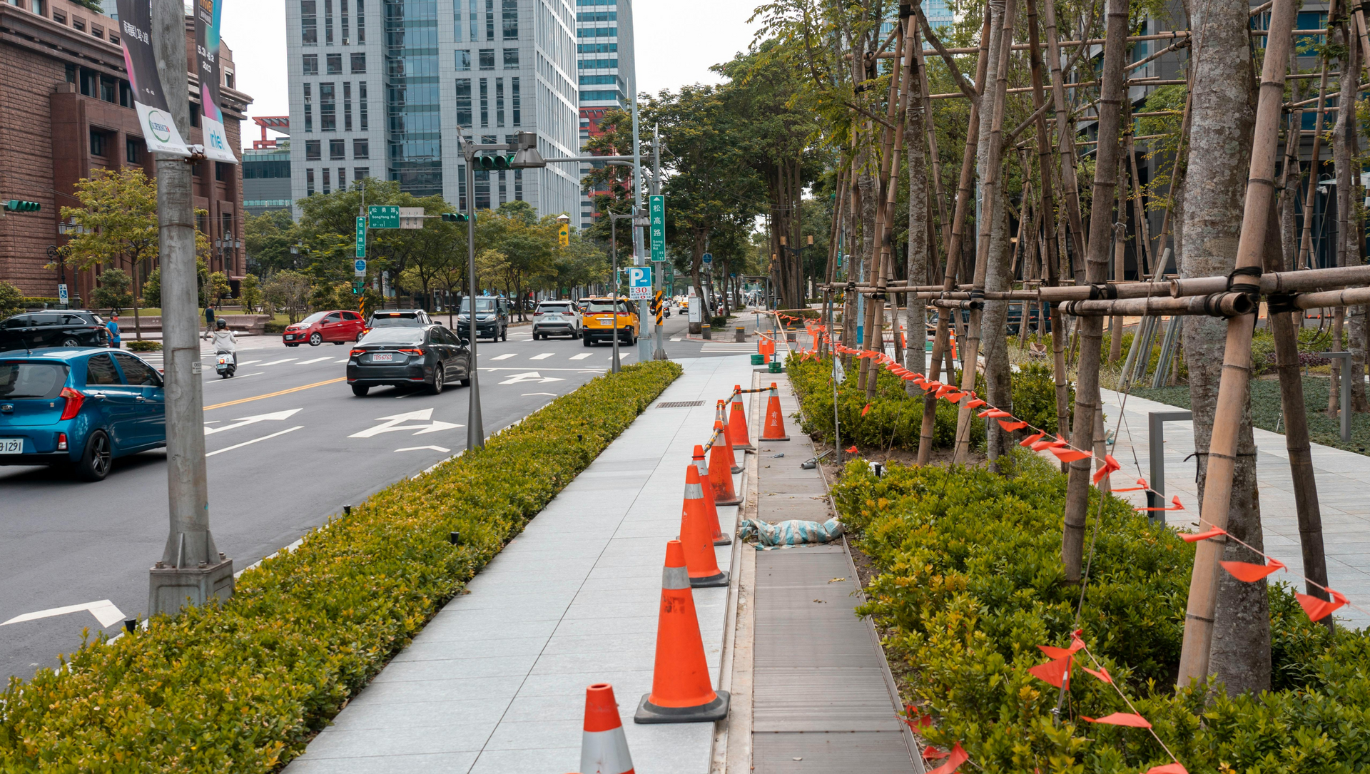 Street view with cars, pedestrians, trees, and orange safety cones along the sidewalk in a city.