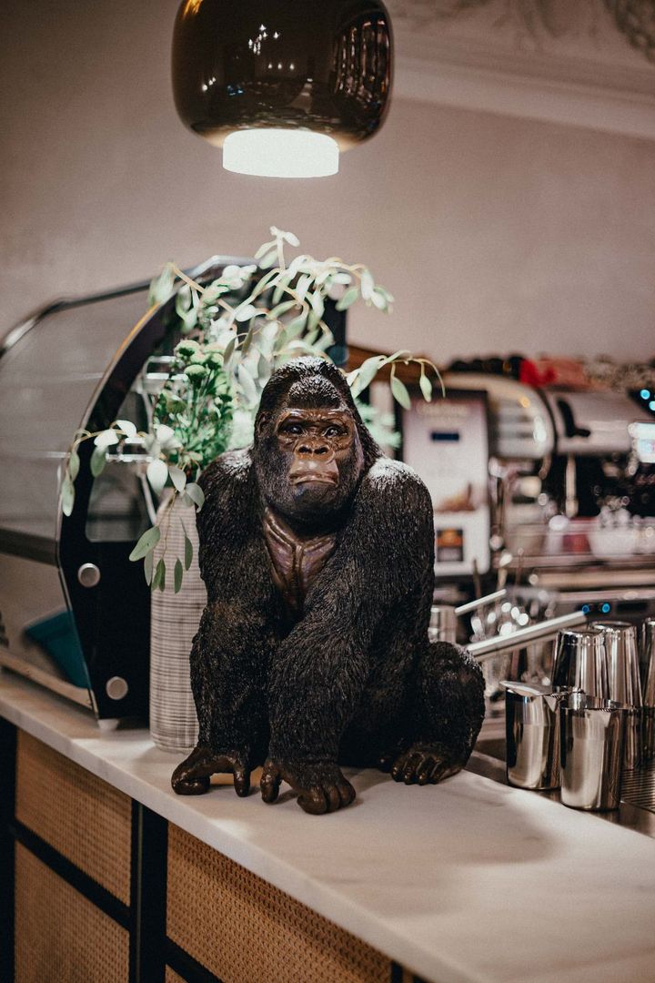 Kong on the bar counter