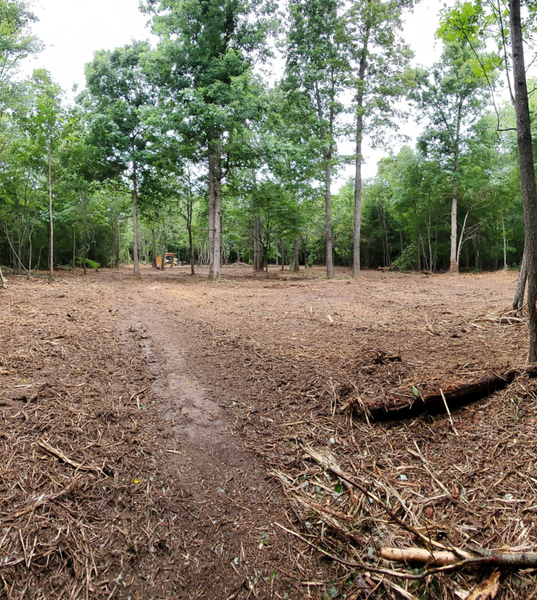 A clearing in a wooded area with bare, mulch-covered ground and a muddy path leading toward trees in the background.