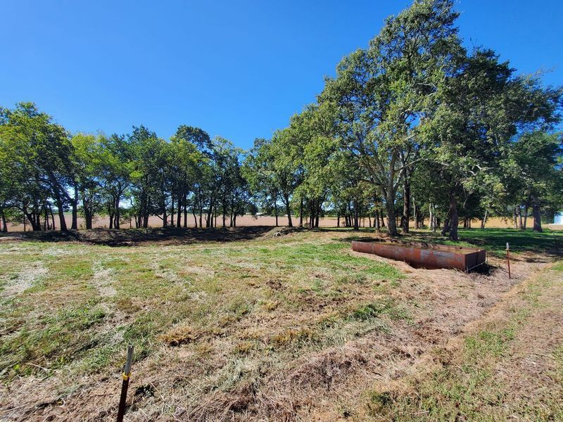 A grassy field under a clear blue sky, featuring a line of trees and a long metal trough in the foreground.