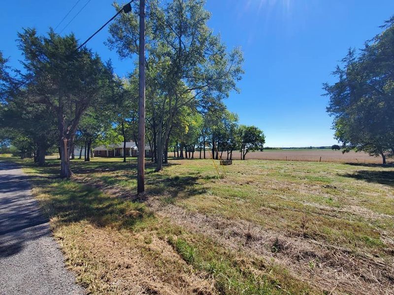 A sunny, rural landscape featuring a dirt road, trees, a utility pole, and a distant house bordering a farm field.