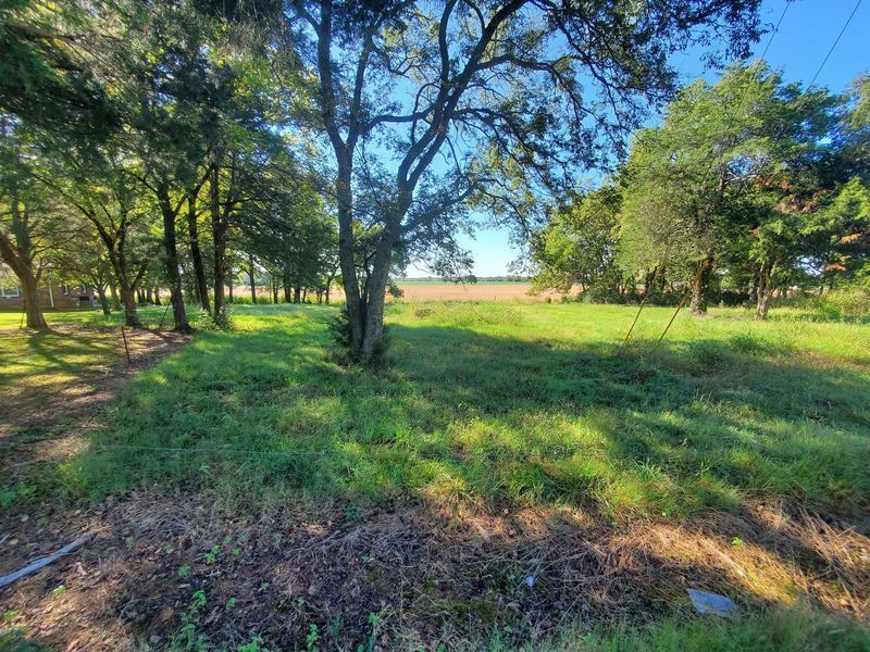 A grassy lot surrounded by mature trees under a clear blue sky, leading to an open field in the distance.