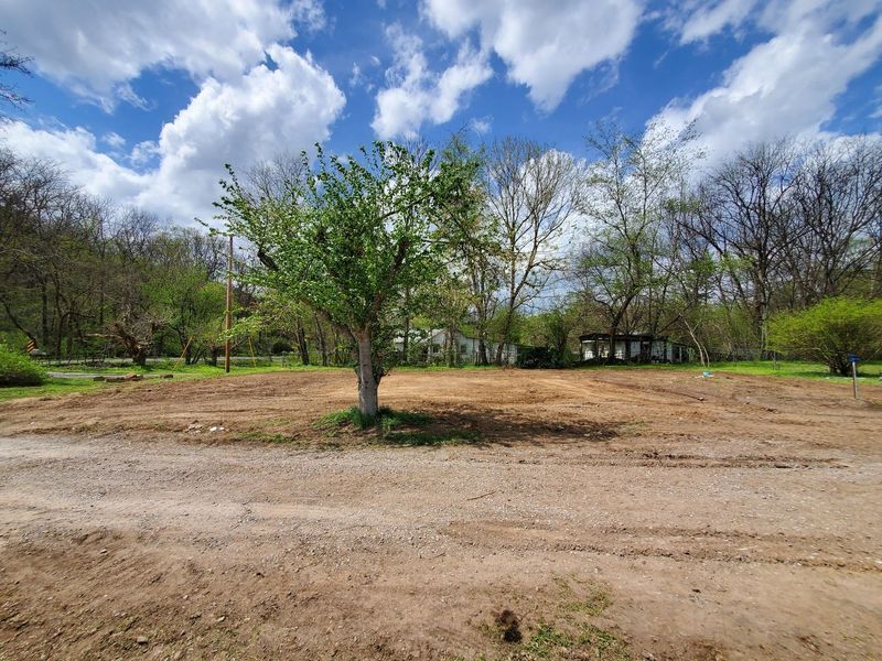 A central tree stands in an open, cleared dirt lot against a backdrop of trees under a bright blue sky with white clouds.