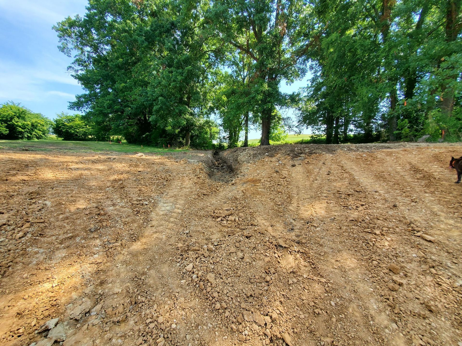 A freshly excavated dirt slope leading up to a line of lush green trees under a bright blue sky.