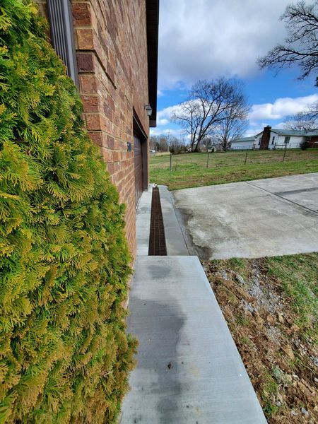 A narrow drainage grate runs along a concrete walkway beside a brick house wall and a large evergreen shrub.