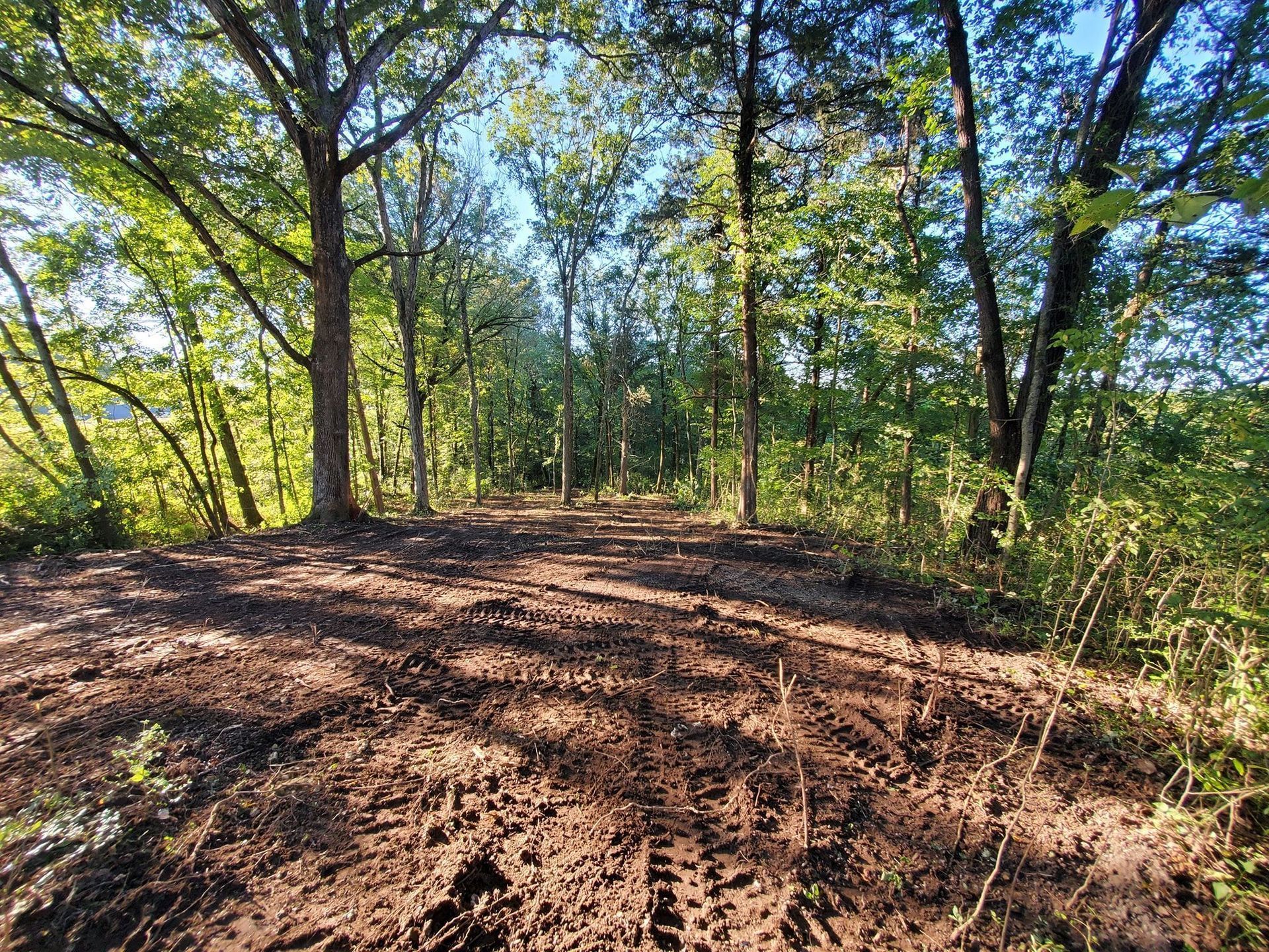 A dirt path leads through a wooded area with tall green trees under a clear, bright blue sky.