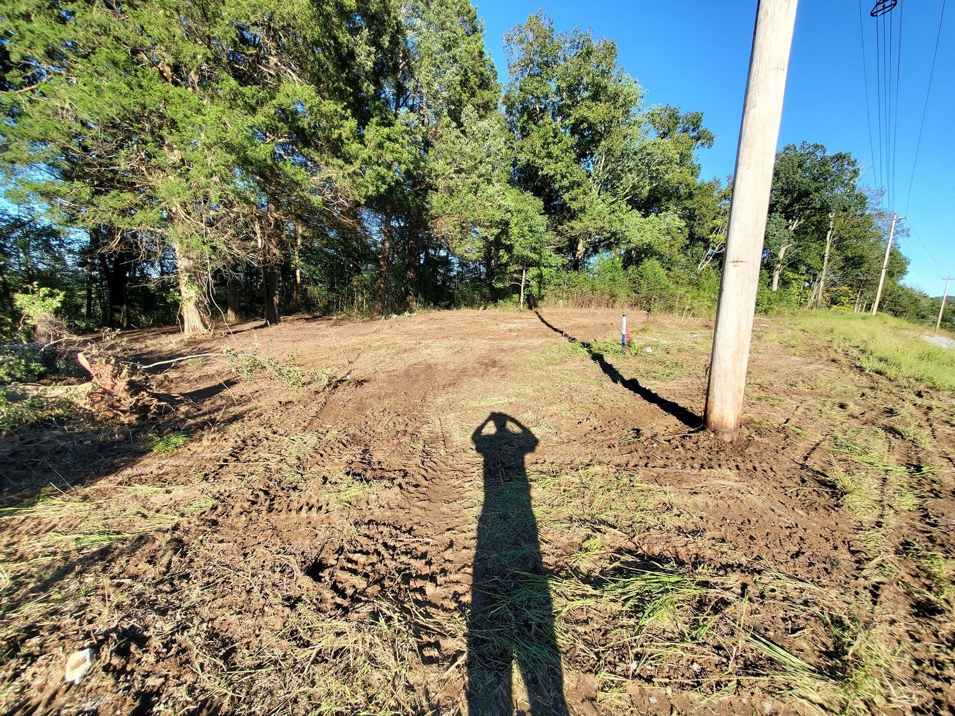 A person’s shadow falls across a cleared, grassy lot with a utility pole nearby and a forest line in the background.