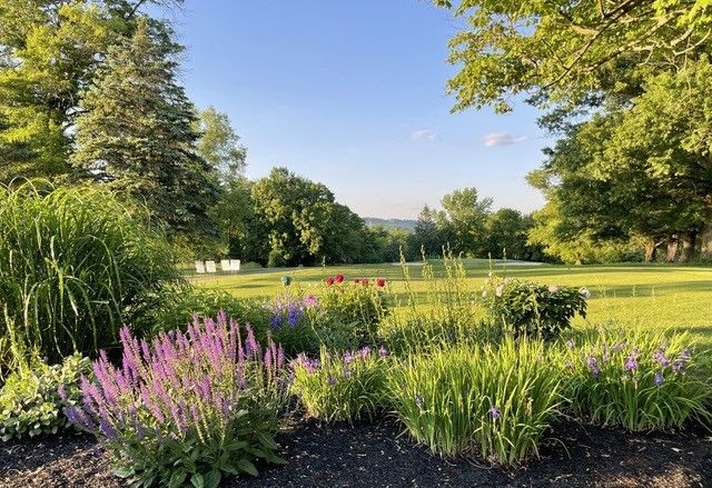 A lush green field with purple flowers in the foreground and trees in the background.