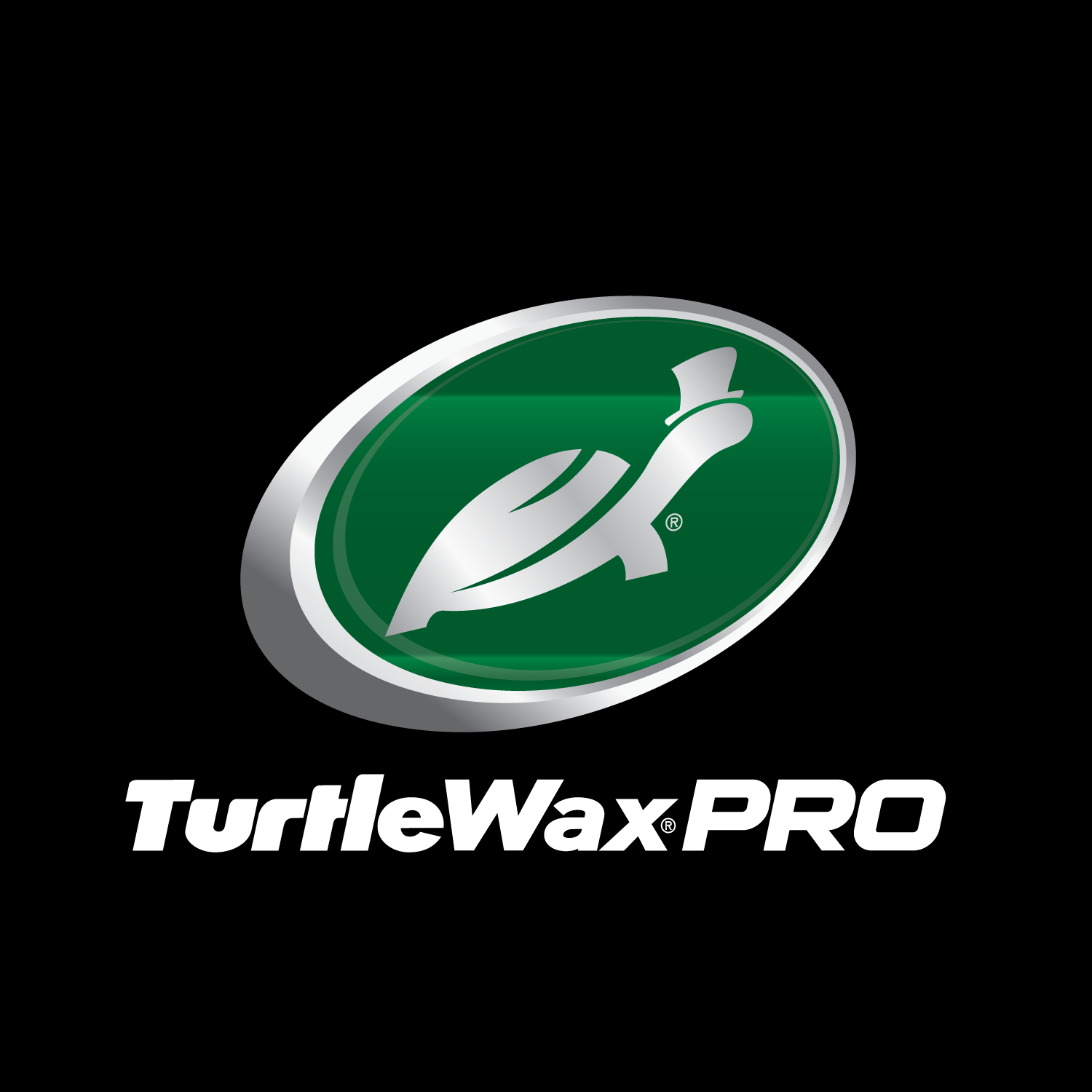 Turtle Wax Logo