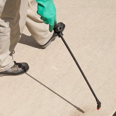 Mould Removal: The Jetclean Advantage. We apply a mould removal agent to improve appearance and for a longer lasting result.