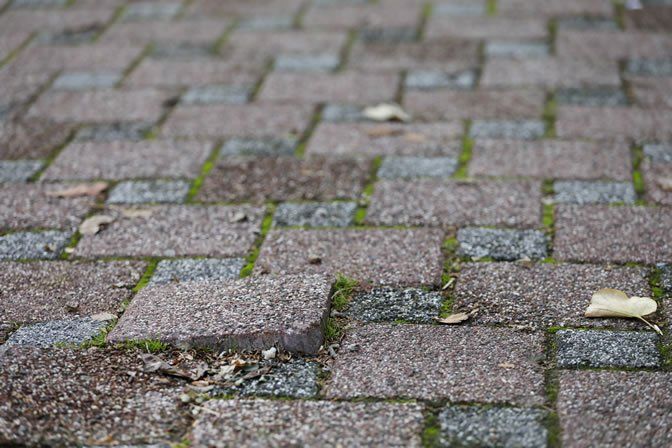 Mould and moss affected pavers in need of pressure cleaning and mould removal.