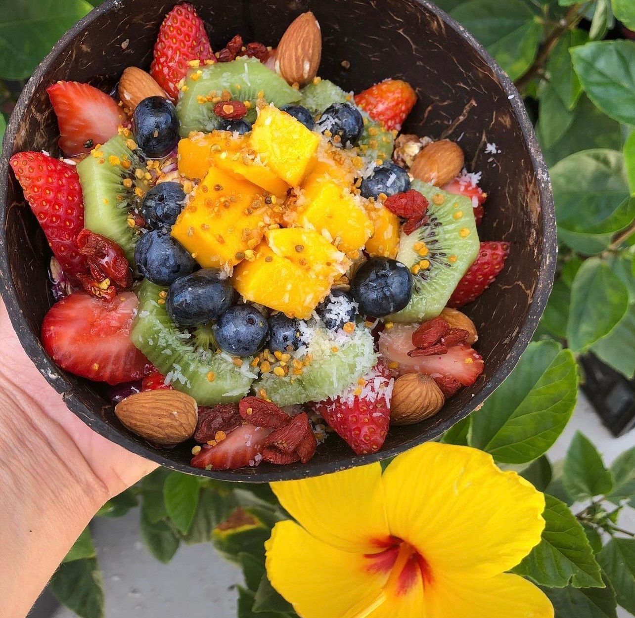 Big Island Bowls St. Augustine, FL Healthy Hawaiian Food