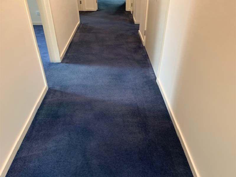 A Hallway With Blue Carpet and White Walls — The Tile & Stone Specialists in Maroochydore, QLD