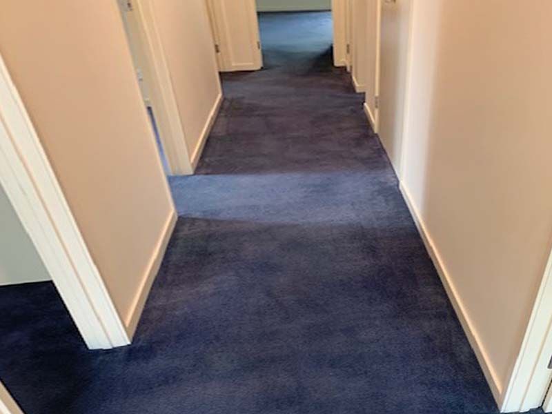A Hallway With Blue Carpet — The Tile & Stone Specialists in Peregian Beach, QLD