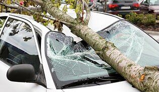Damaged car by tree — Automobile Insurance in Fort Walton Beach, FL
