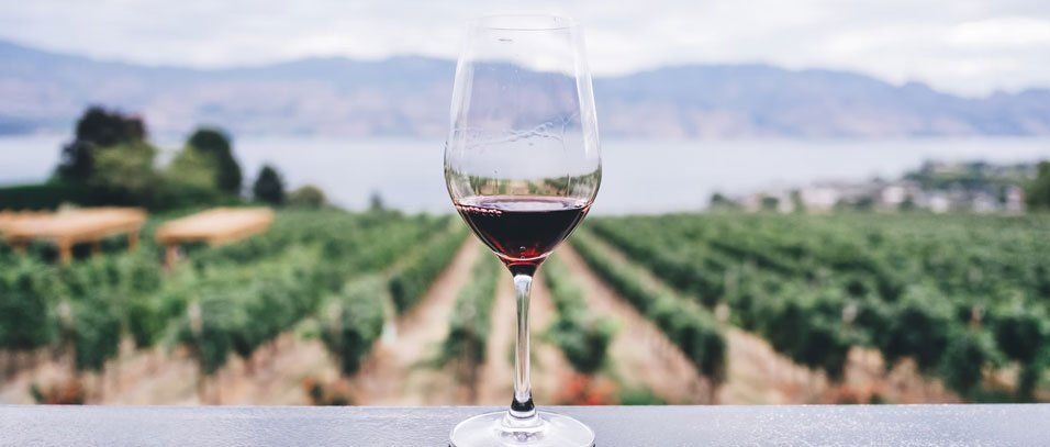 wine grapes northern BC