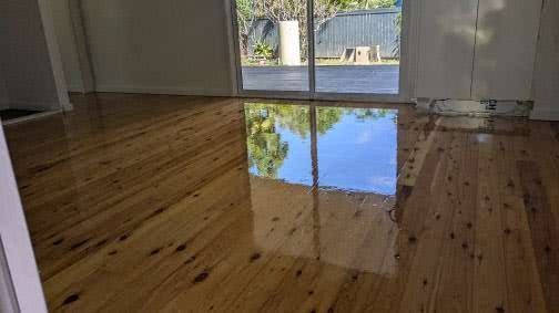 Reflective wooden floor with bright sunlight. A window in the background shows a yard.