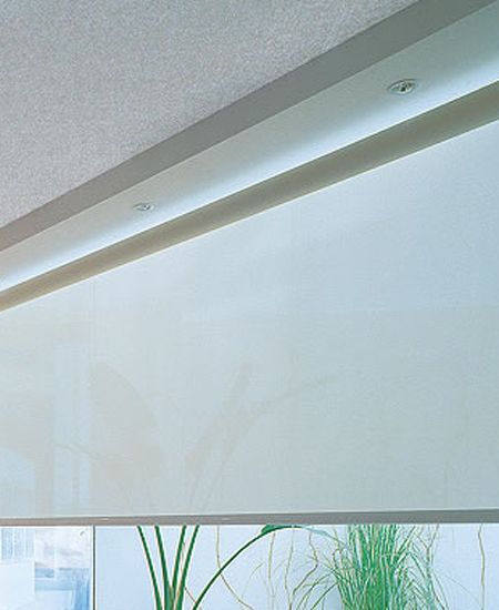 White Roller Shade Partially Lowered, Over a Window With Green Plants Visible — GV Blinds in Shepparton, VIC