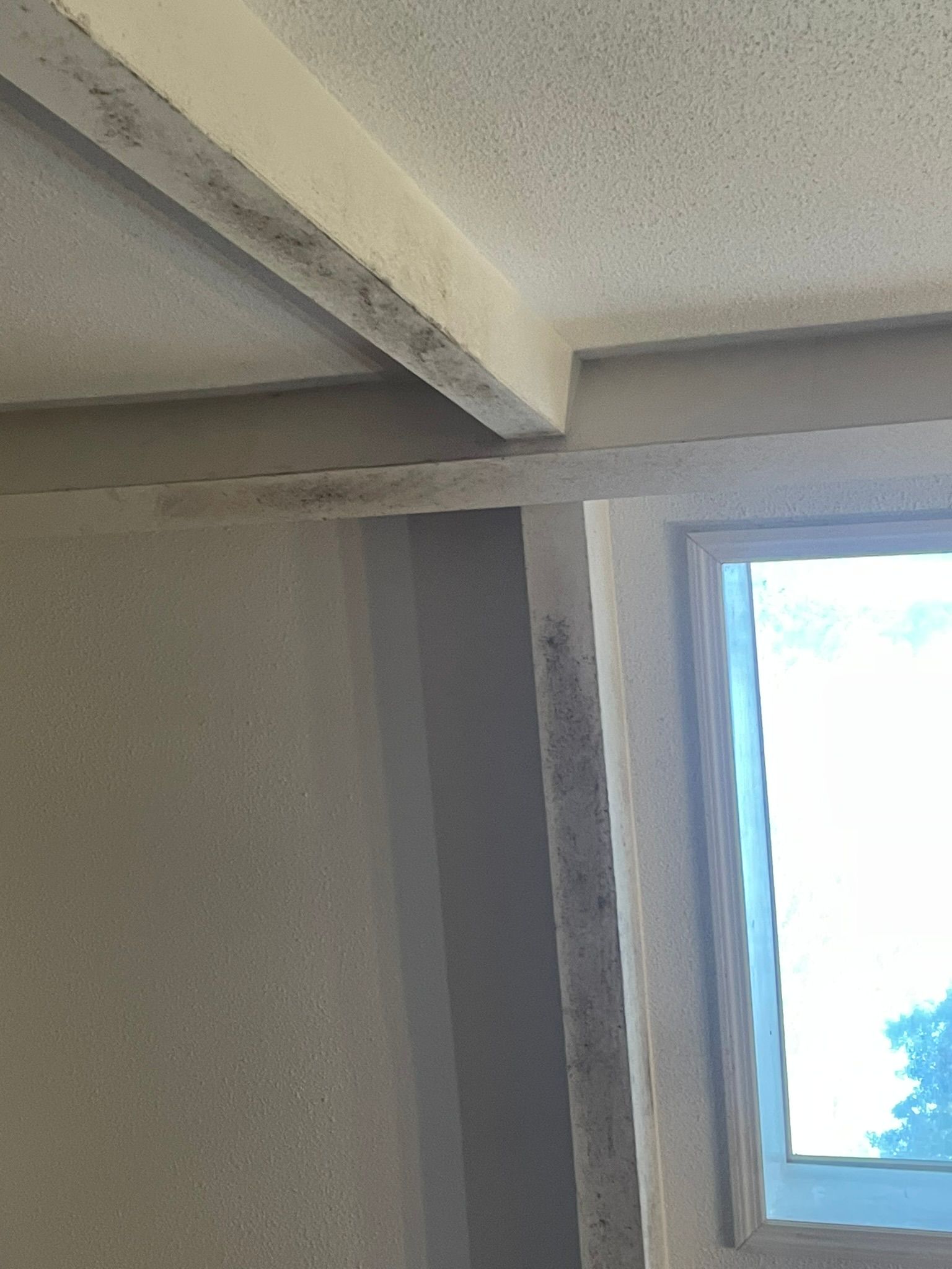 Painting Contractor Birmingham, AL