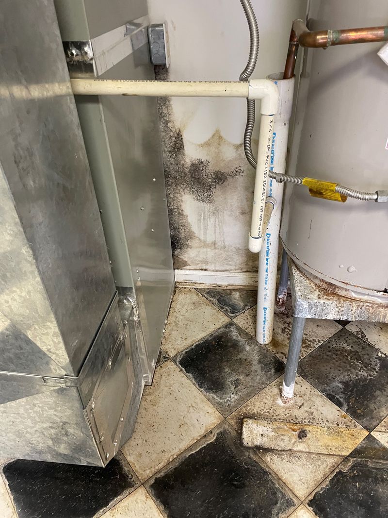 Mold In Wall — Irondale, AL — Eastie Boys Restoration