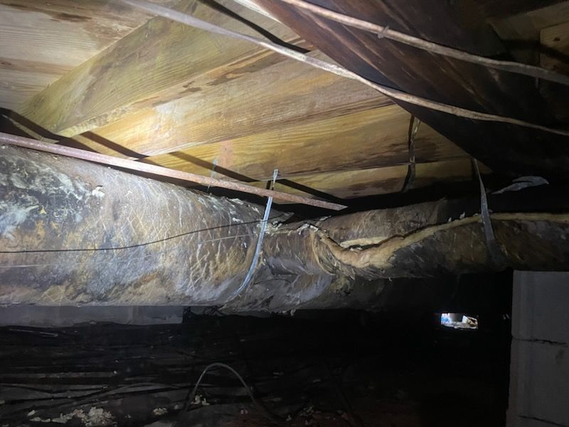 Mold Removal Birmingham, AL