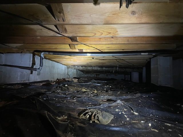 Mold Remediation Birmingham, AL