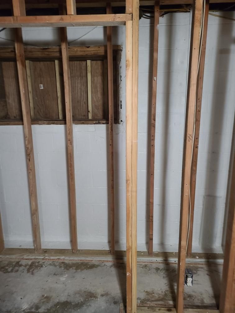 Basement Mold Removal Hoover, AL