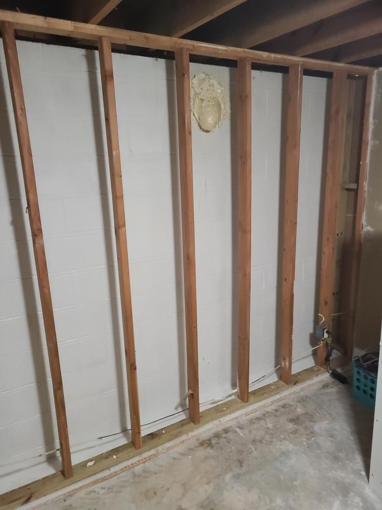 Basement Mold Removal Hoover, AL