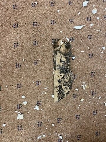 Water Damage Restoration Mountain Brook, AL