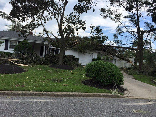 House Damaged by Big Tree — Millville, NJ — ED Gallagher Jr. Public Adjuster