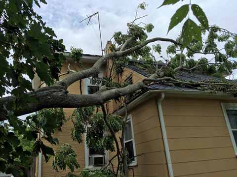 Fallen Branch on the Tree — Millville, NJ — ED Gallagher Jr. Public Adjuster