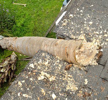 Tree Fallen on the Roof — Millville, NJ — ED Gallagher Jr. Public Adjuster