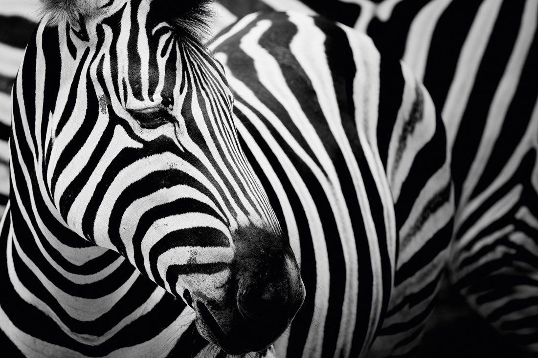 i.Scription Brillen Optiker Mödling Perchtoldsdorf