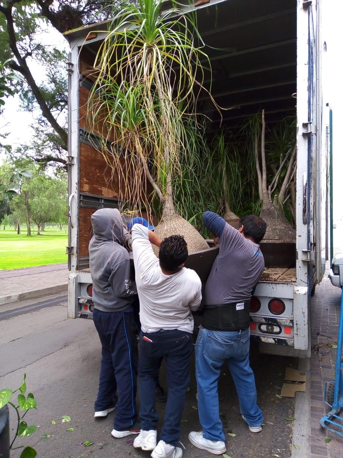 MUDANZAS Y TRANSPORTES LOPEZ QRO