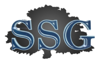 BSG Advisers