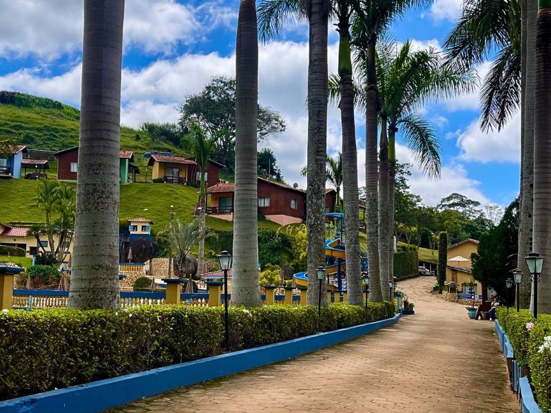Palmeiras ladeiam um caminho de areia em um parque com cabanas em uma colina verde sob um céu azul.