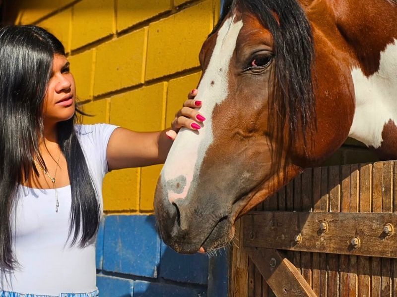 Mulher acariciando o rosto de um cavalo marrom e branco em um estábulo.