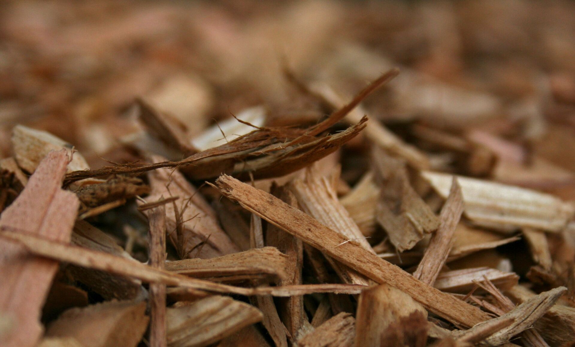 A close up of a pile of wood chips on the ground.